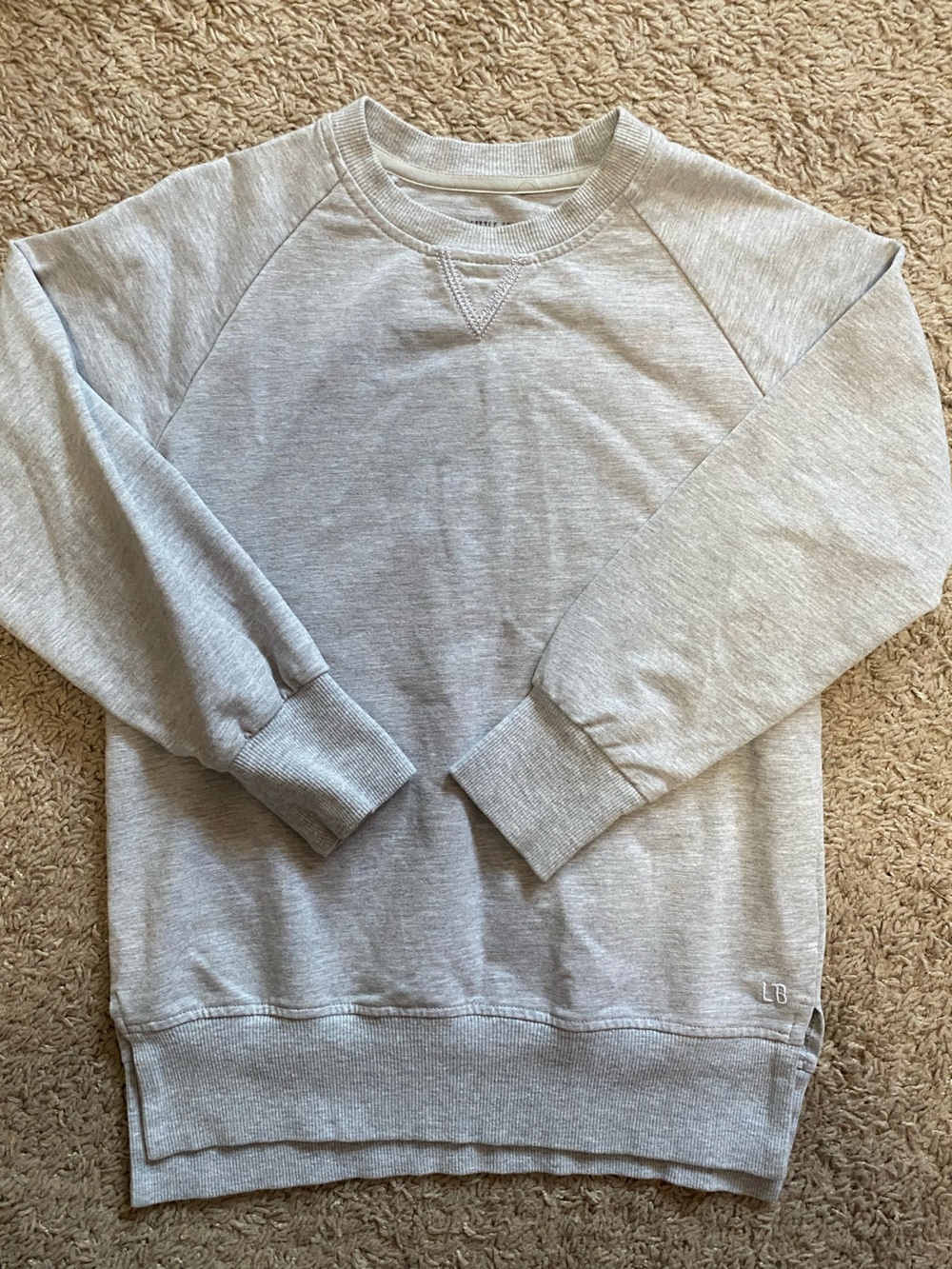 Little Bipsy Boy's Heather Gray Crewneck Sweatshirt